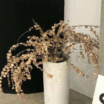 兽设动态构图思路兽圈社群